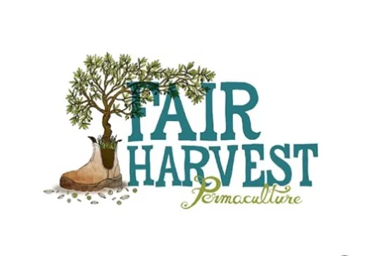 Logo with a tree growing from a boot, scattered seeds, and the text 